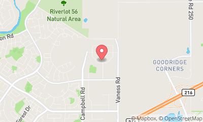 map, Gold In The Net