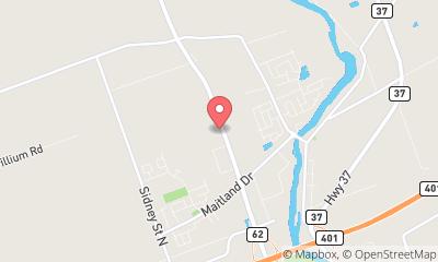 map, Spotlight Limousine